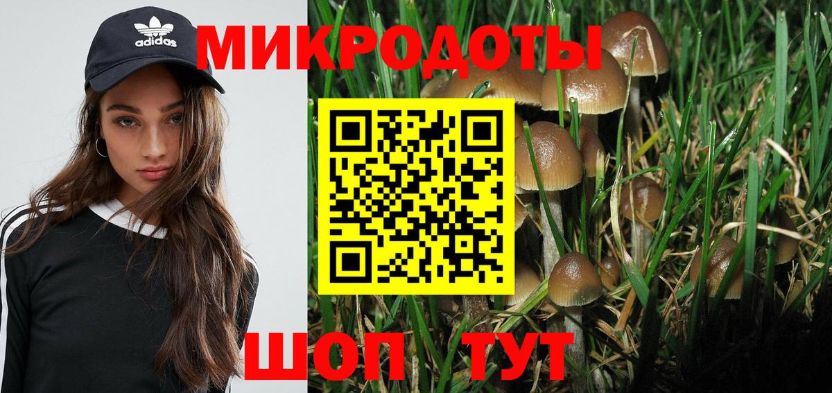 Псилоцибиновые грибы Cubensis Чехов