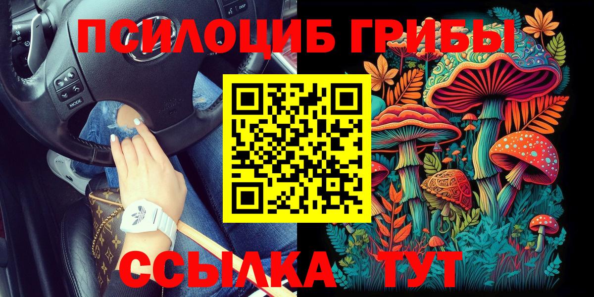 Чехов  Галлюциногенные грибы мицелий  Вход с VPN 